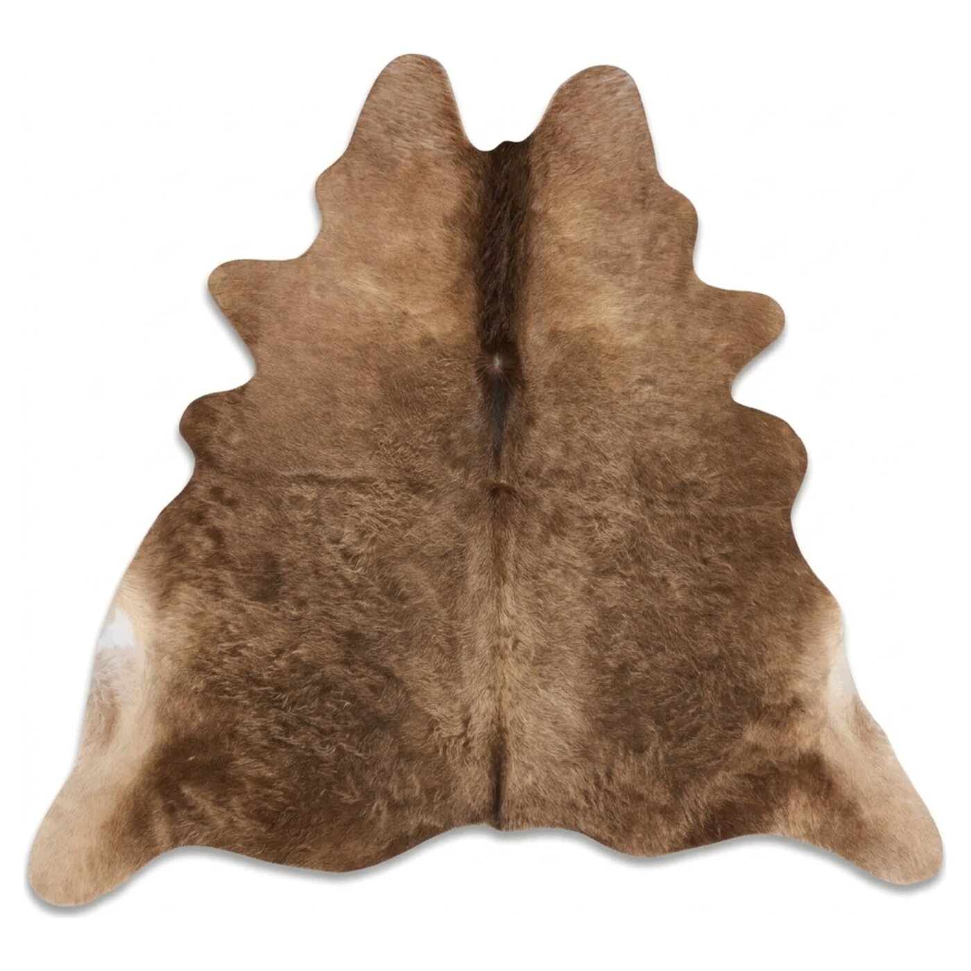 Dunkles Taupe Draufsicht