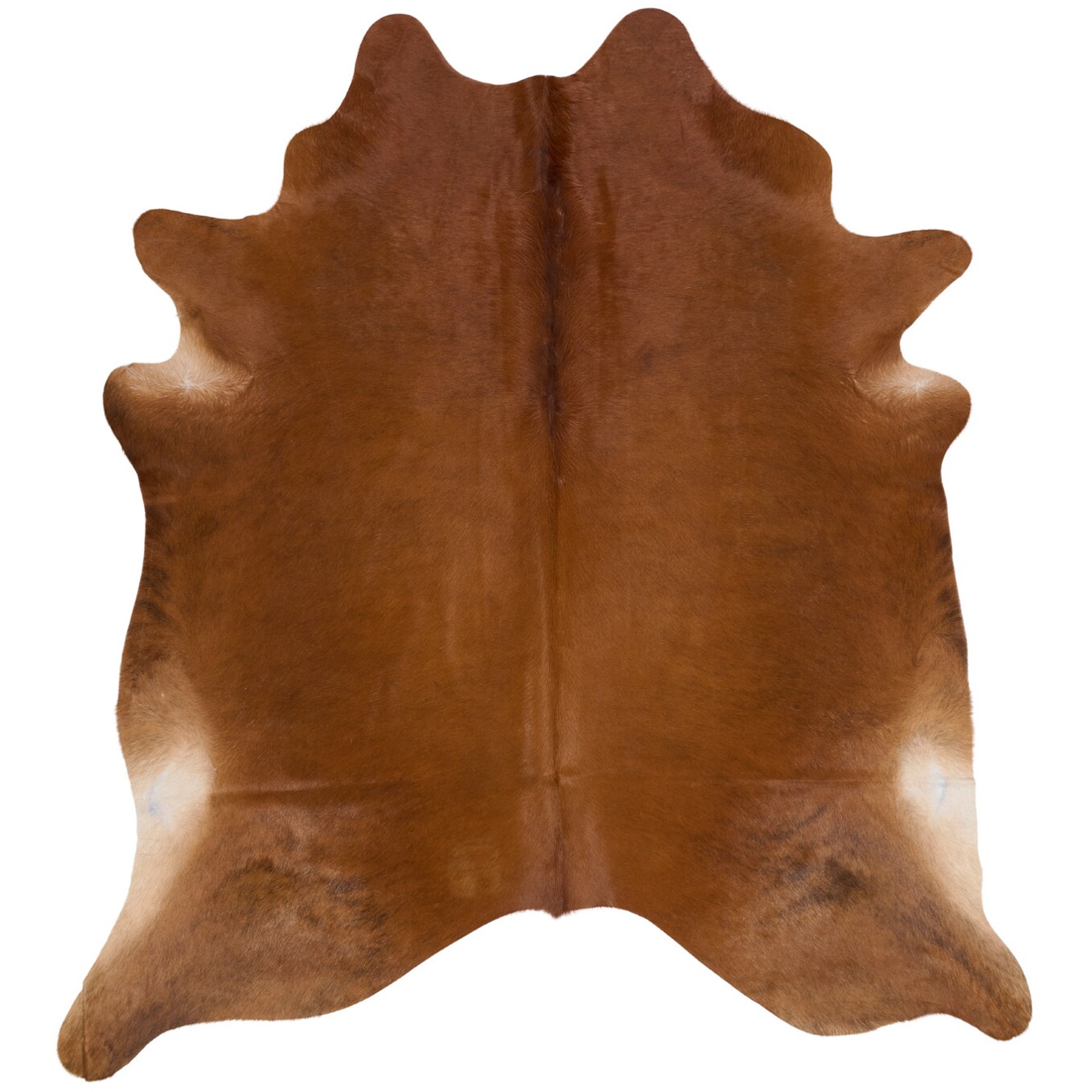 Kuhfell-Teppich 239x217 cm